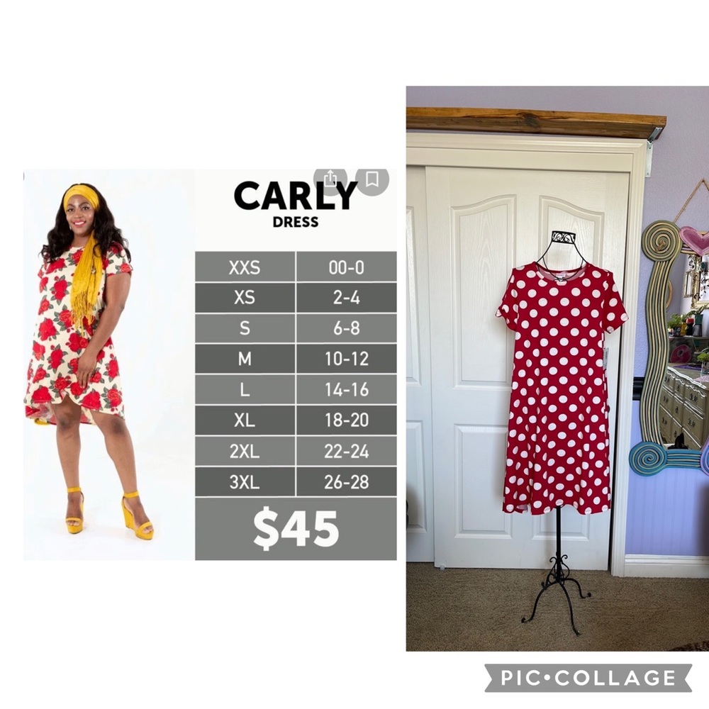 LuLaRoe Carly Large